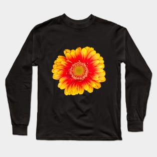 Gerbera Daisy Flowers Red and yellow summer Gerber daisy close up flower Long Sleeve T-Shirt